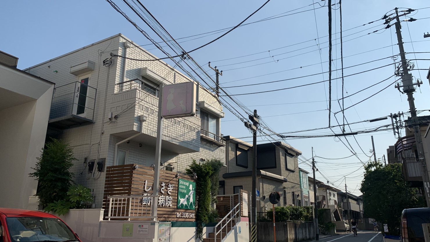 しらさぎ動物病院