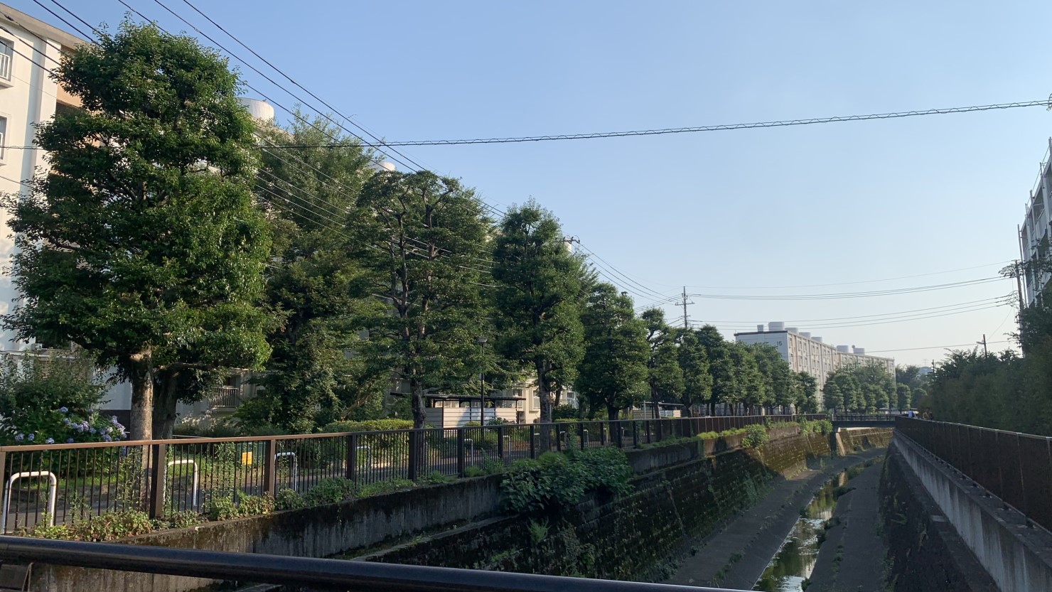 土筆橋からの景色