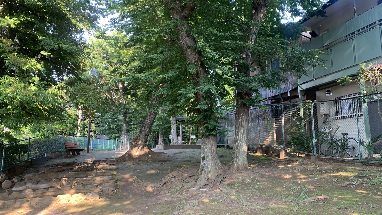 中野区立そろの木公園