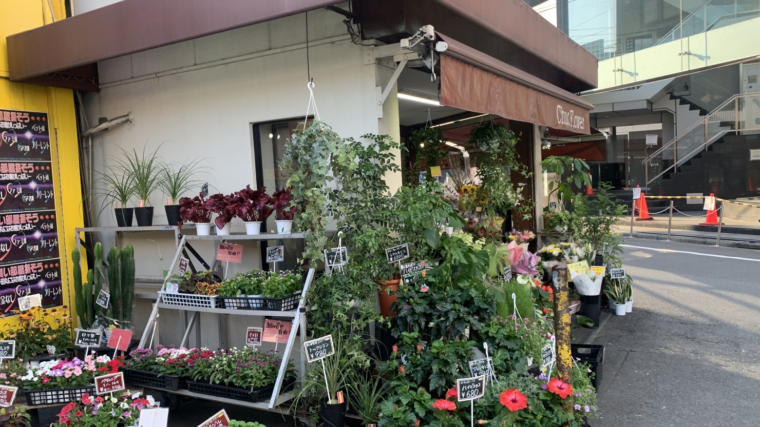 中央フラワー 鷺ノ宮店