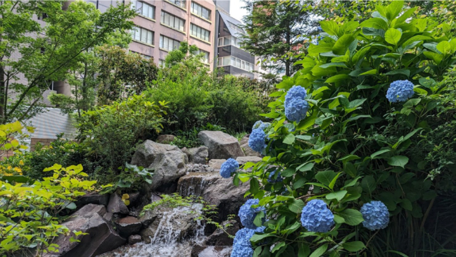 意外にも自然が豊富な小川町駅周辺　© Misaki