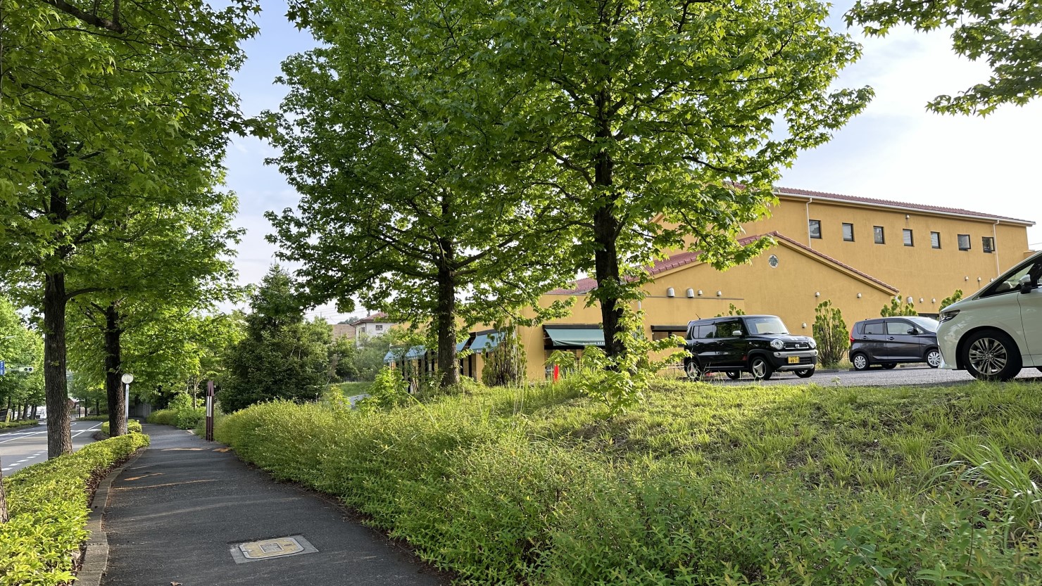 緑豊かな住宅街