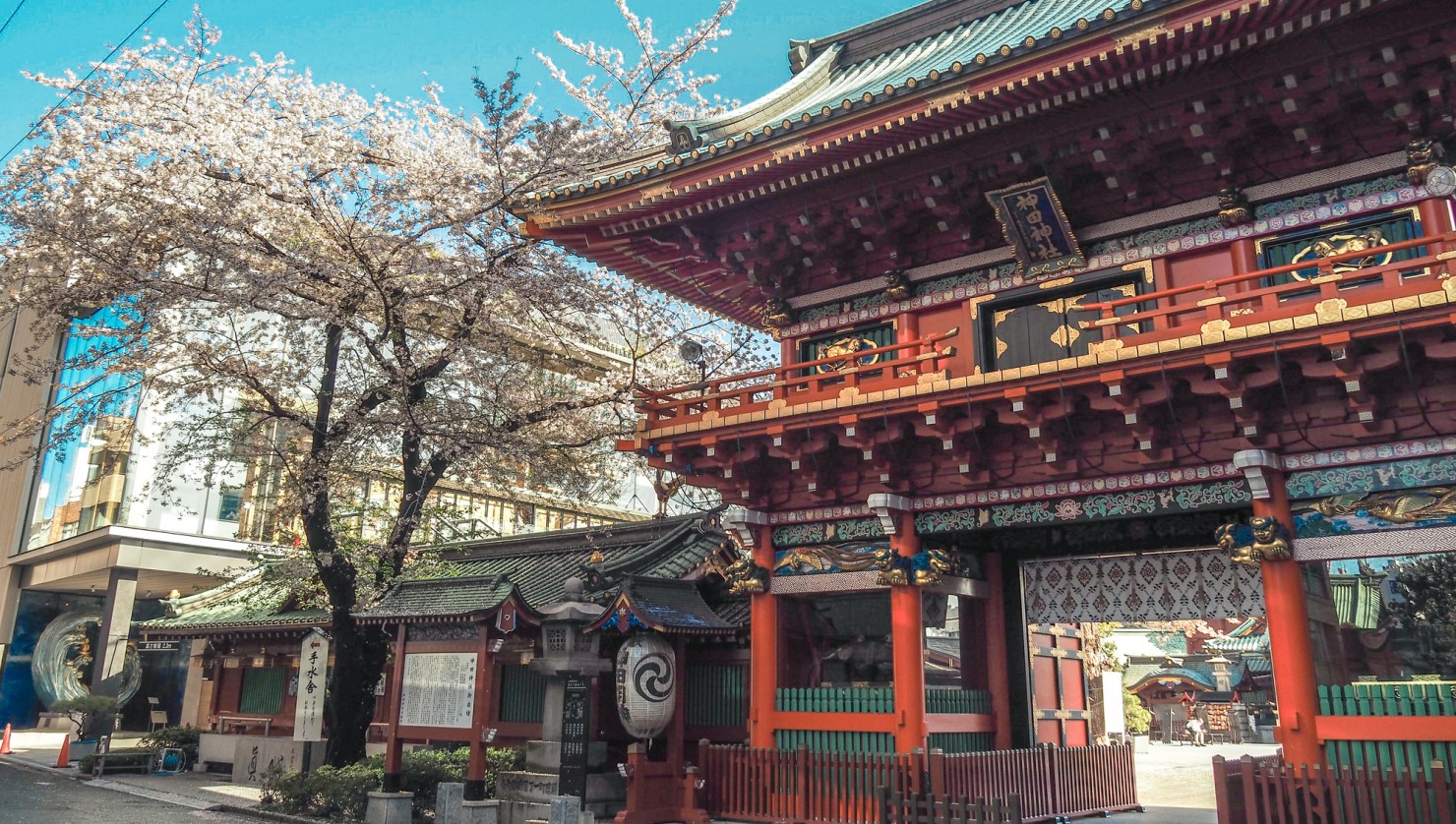 神田明神は桜の名所としても知られる
