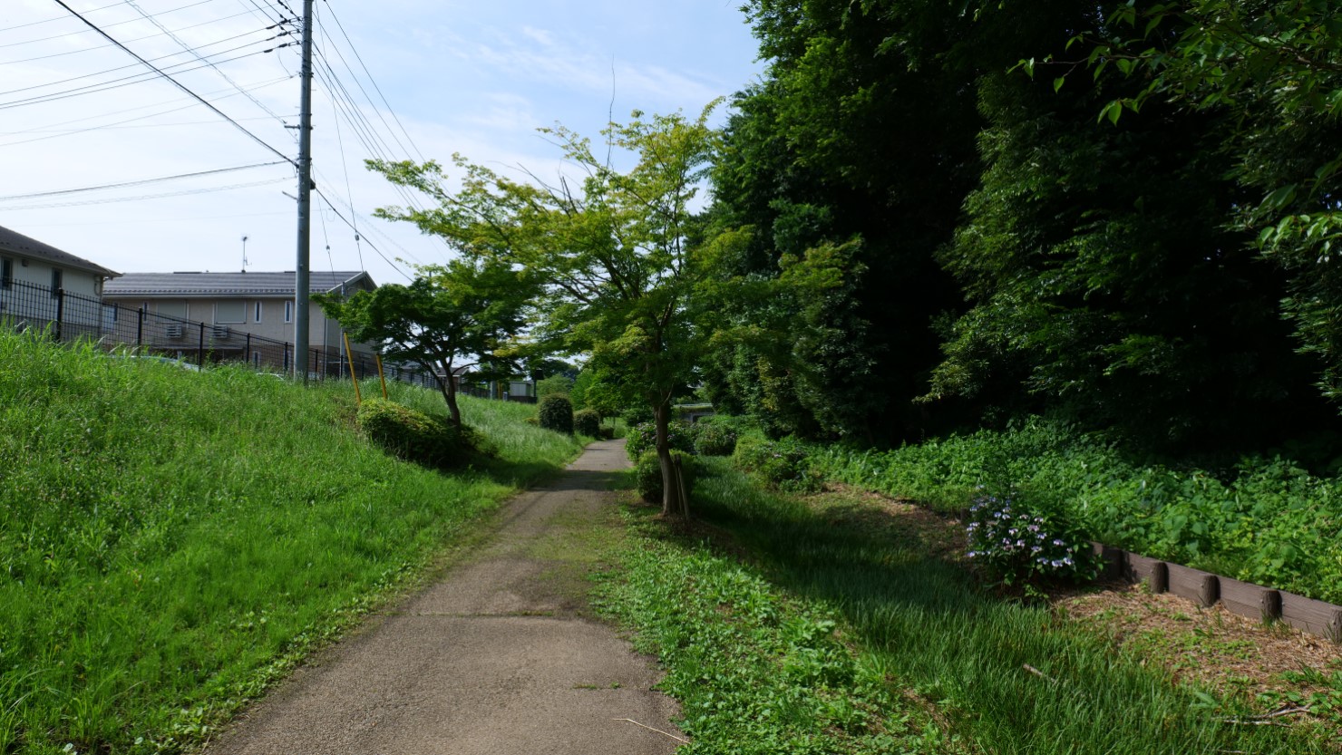 あずま町周辺。住宅のそばに散歩道が設置されている。