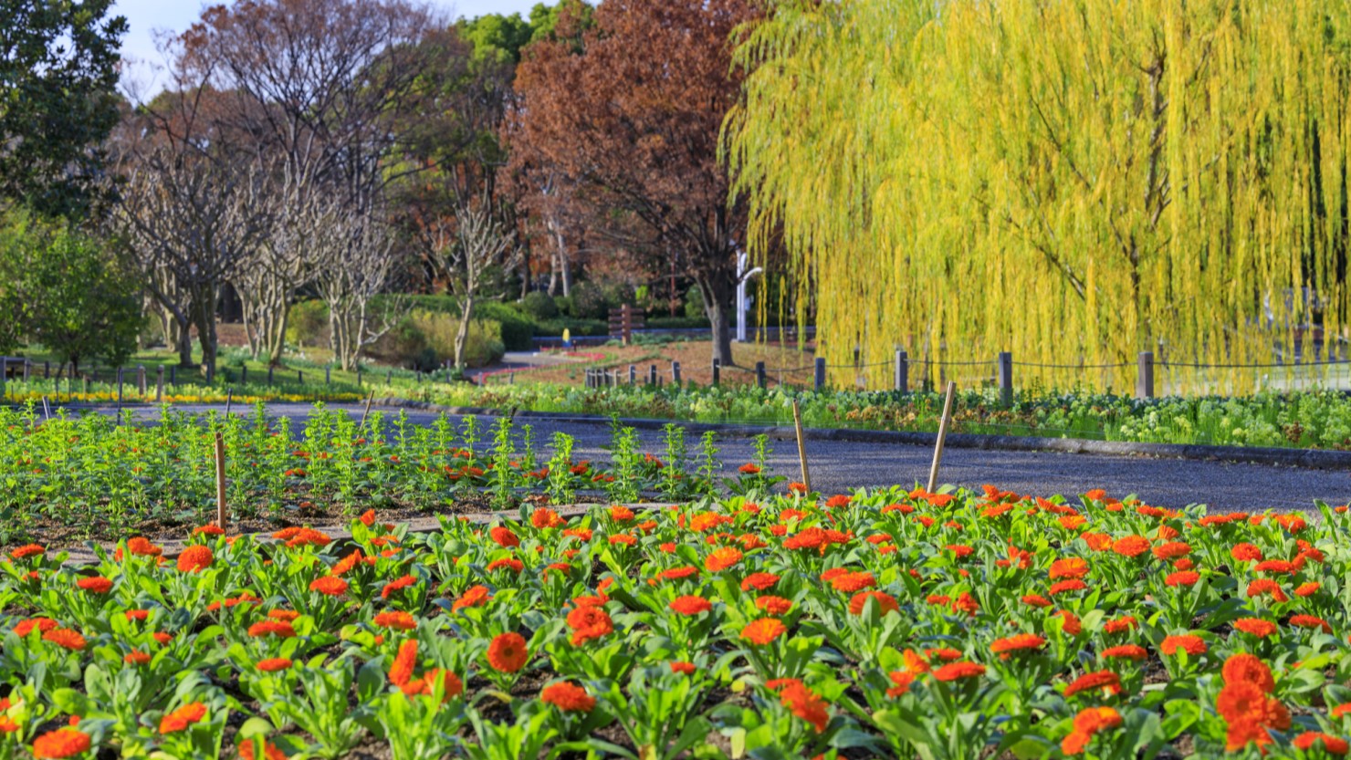 長居植物園