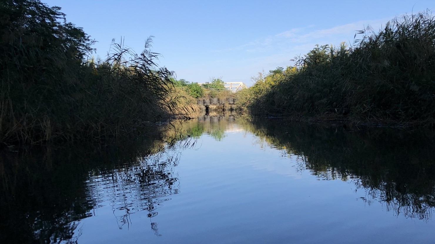 淀川河川公園内を流れる小川。駅前の賑やかさとは一変し、静かで美しい風景に時間も忘れる穴場スポット