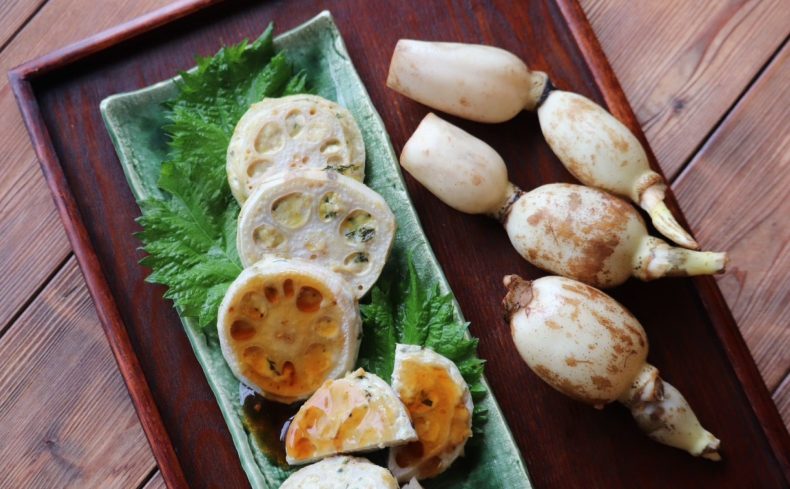 茨城県「霞ヶ浦湖畔」の暮らし体験談！湖畔の食卓風景・生活の魅力を在住者が紹介