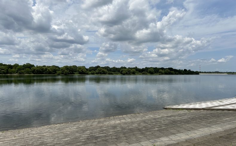 「彩湖（埼玉県）」で自然を感じながらランニング！歴 20年以上の私がおすすめコースを紹介