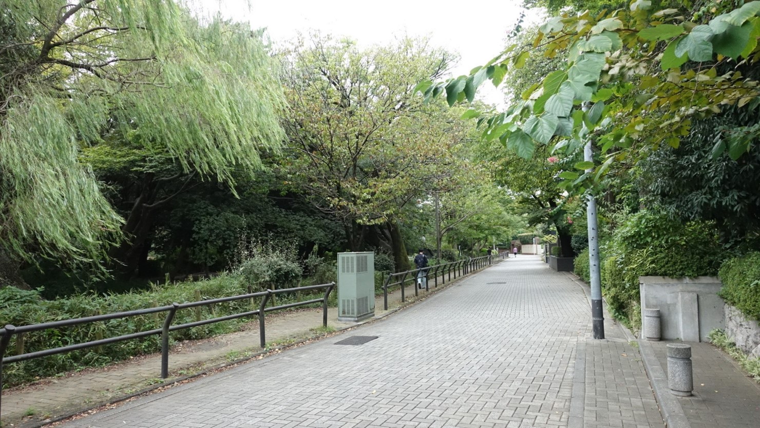 石神井池に隣接する道路