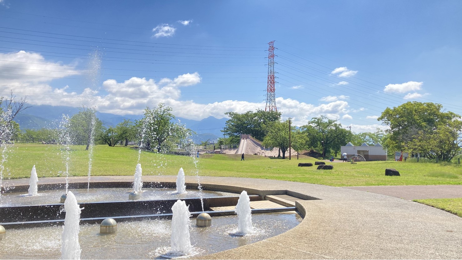 桜の木に囲まれた公園でお花見もできる