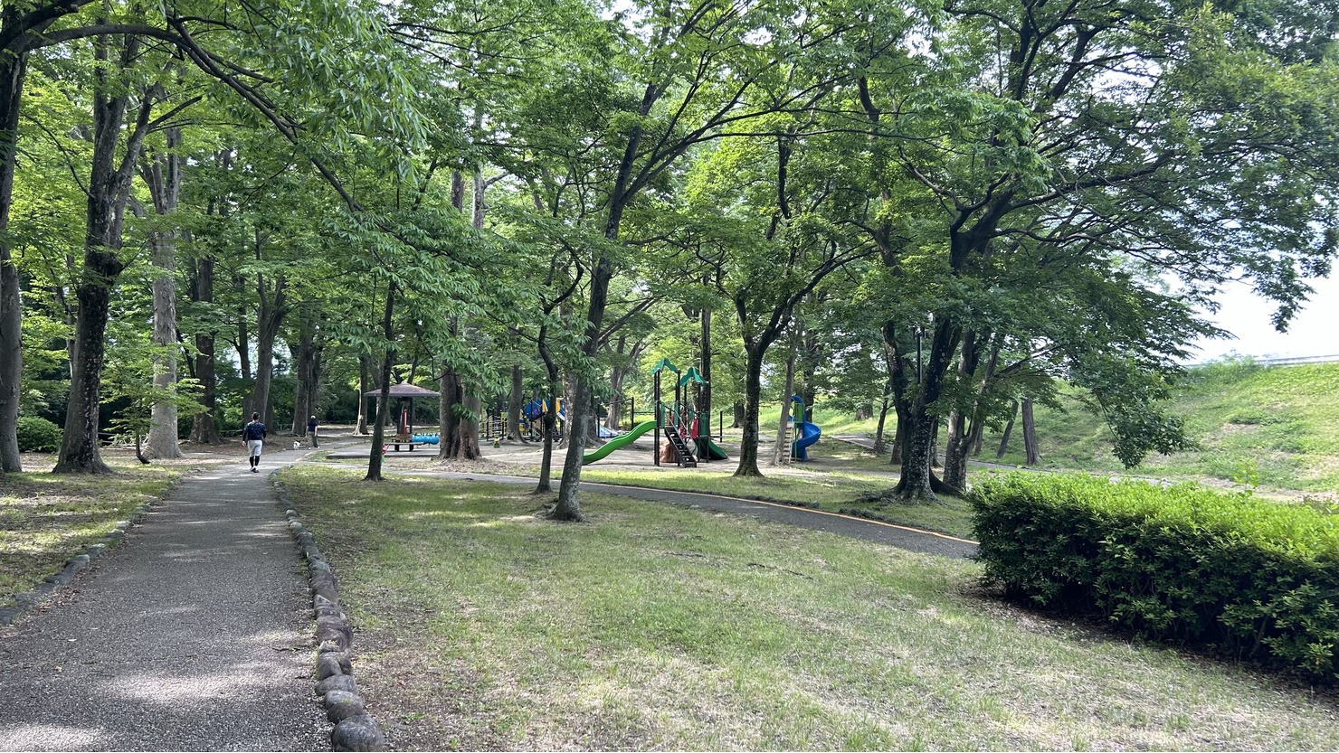 年齢問わずお散歩にもおすすめ