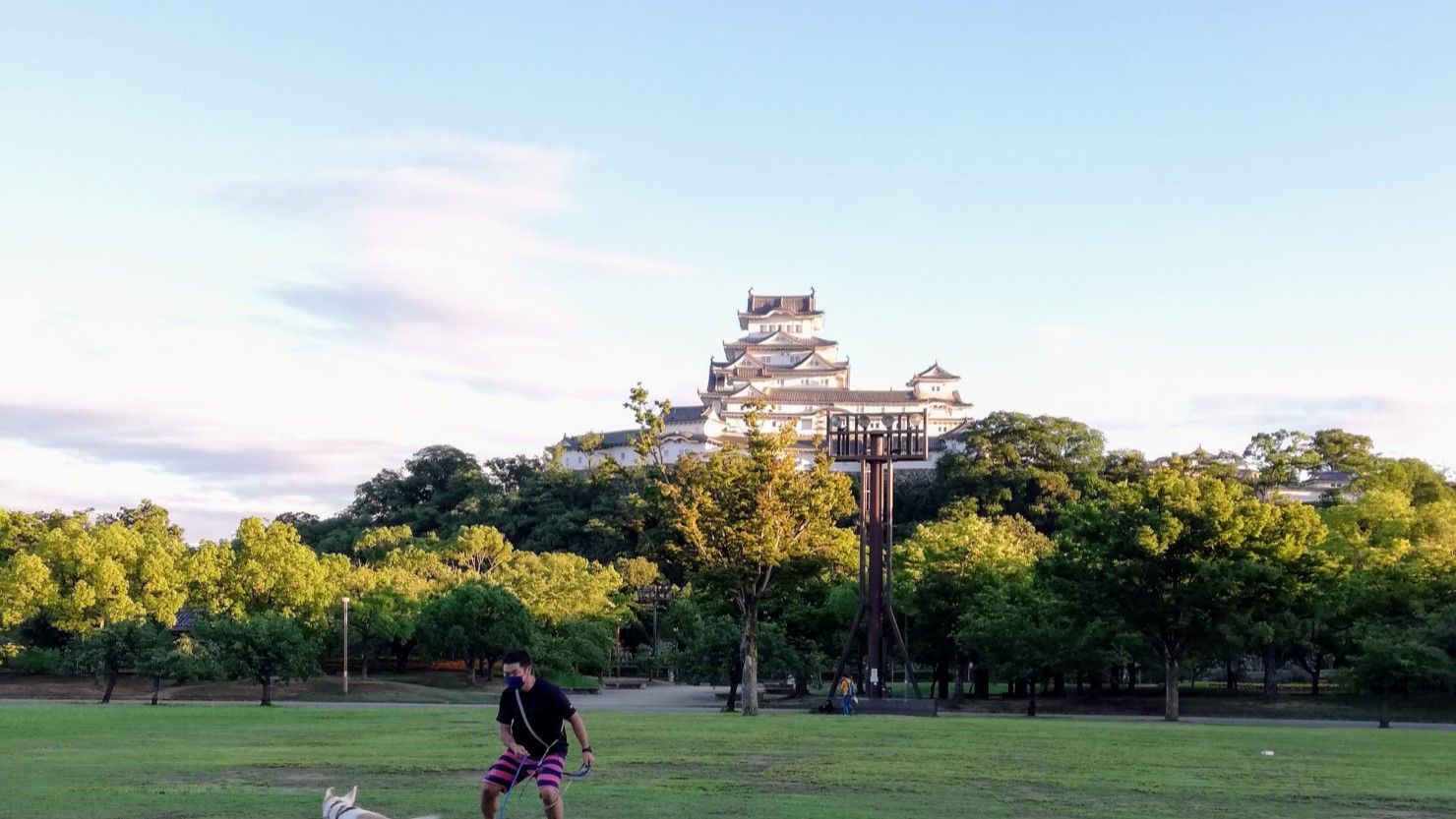 シロトピア記念公園