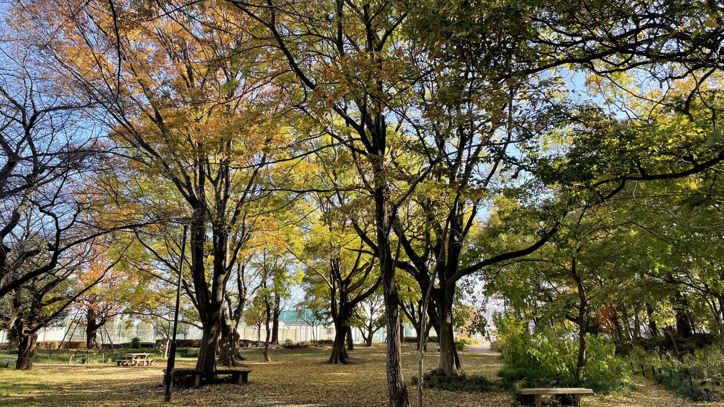 大木島自然公園
