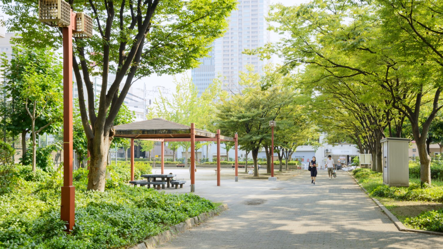中津中央公園からビルを遠くに望む