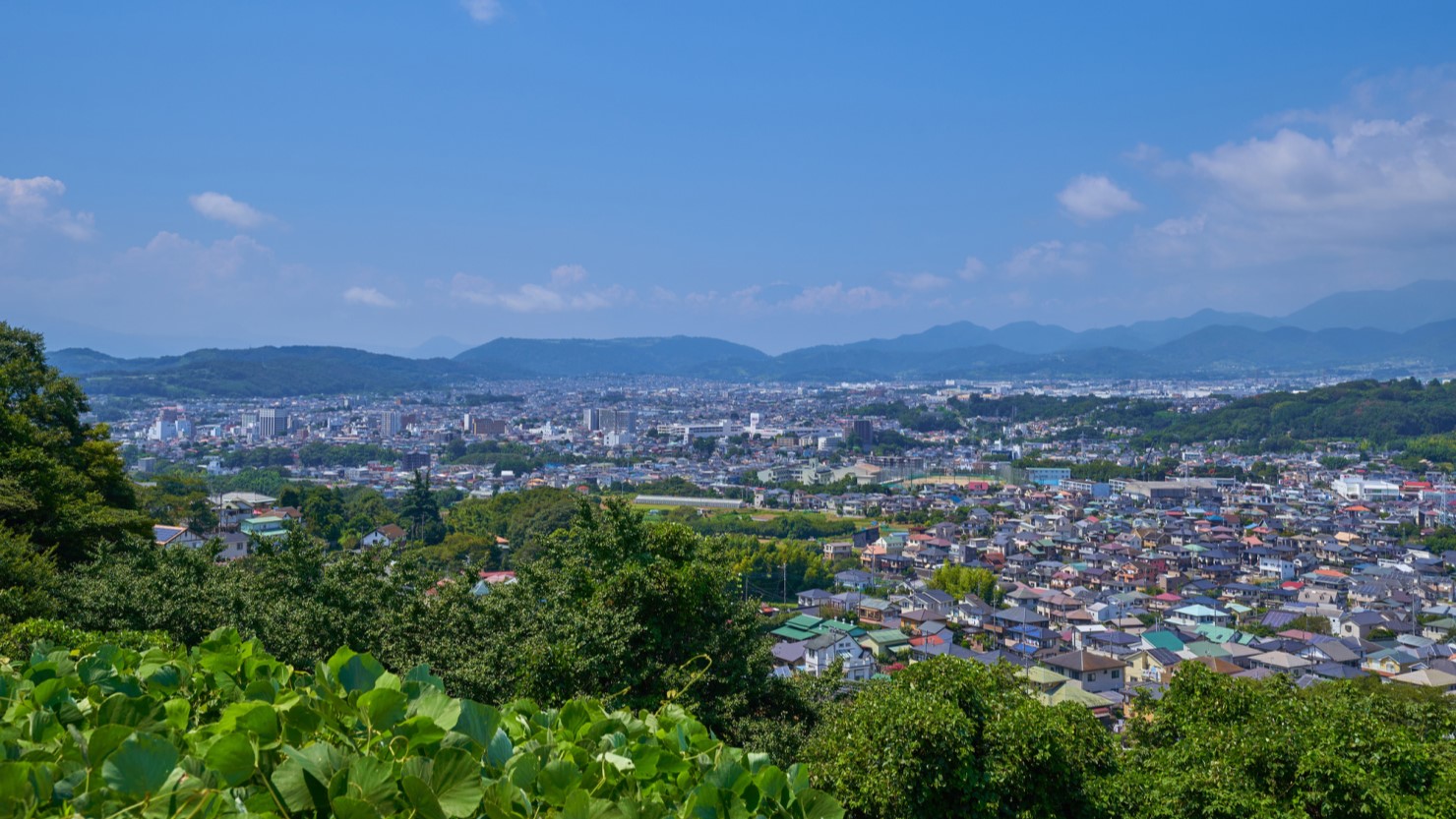 秦野市の弘法山からの眺望(富士山,秦野市入船町,末広町など)