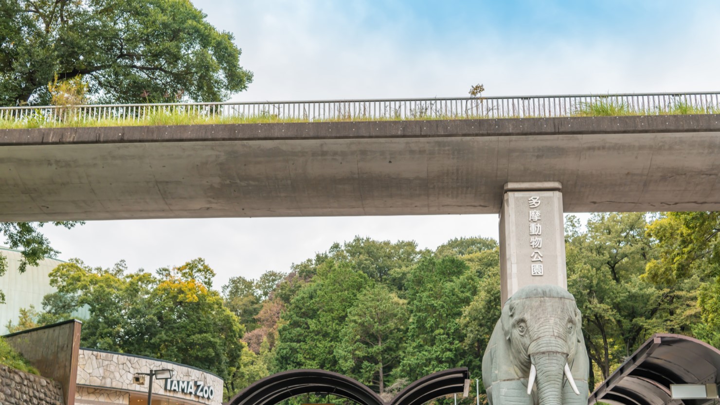 （多摩動物公園）