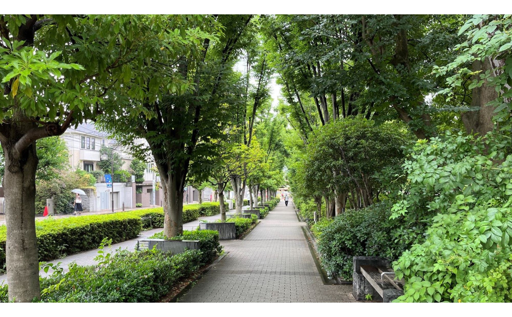 東京都「目黒区」での子育て体験談。子育て支援情報や子育てにおすすめのエリアを紹介