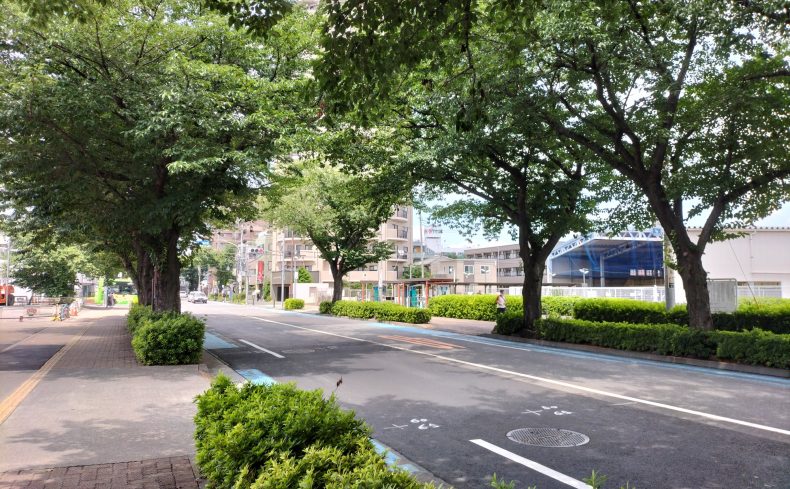 「東村山駅」周辺を散歩しよう！東村山在住37年のライターがおすすめする散歩・ウォーキングスポット