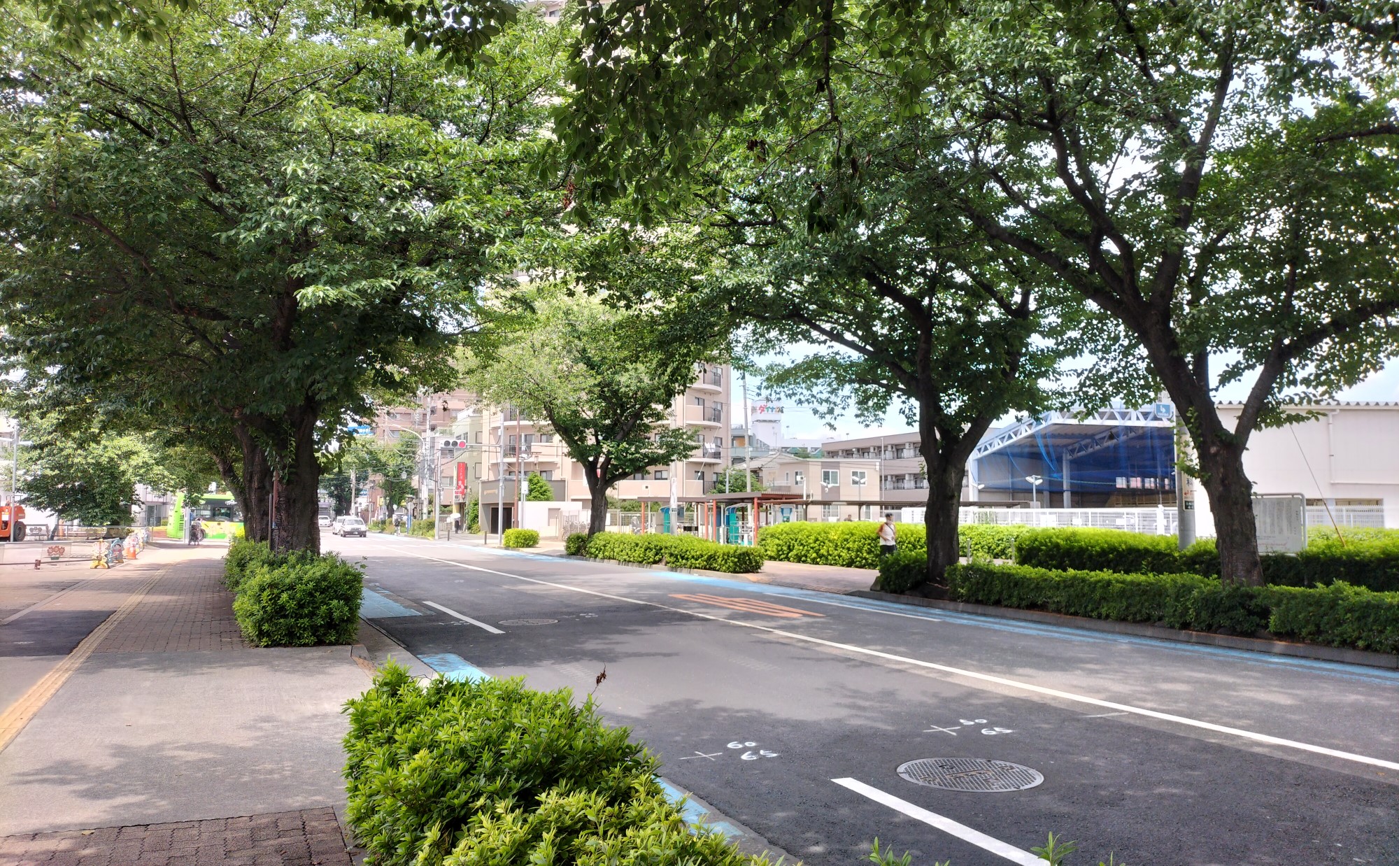 「東村山駅」周辺を散歩しよう！東村山在住37年のライターがおすすめする散歩・ウォーキングスポット