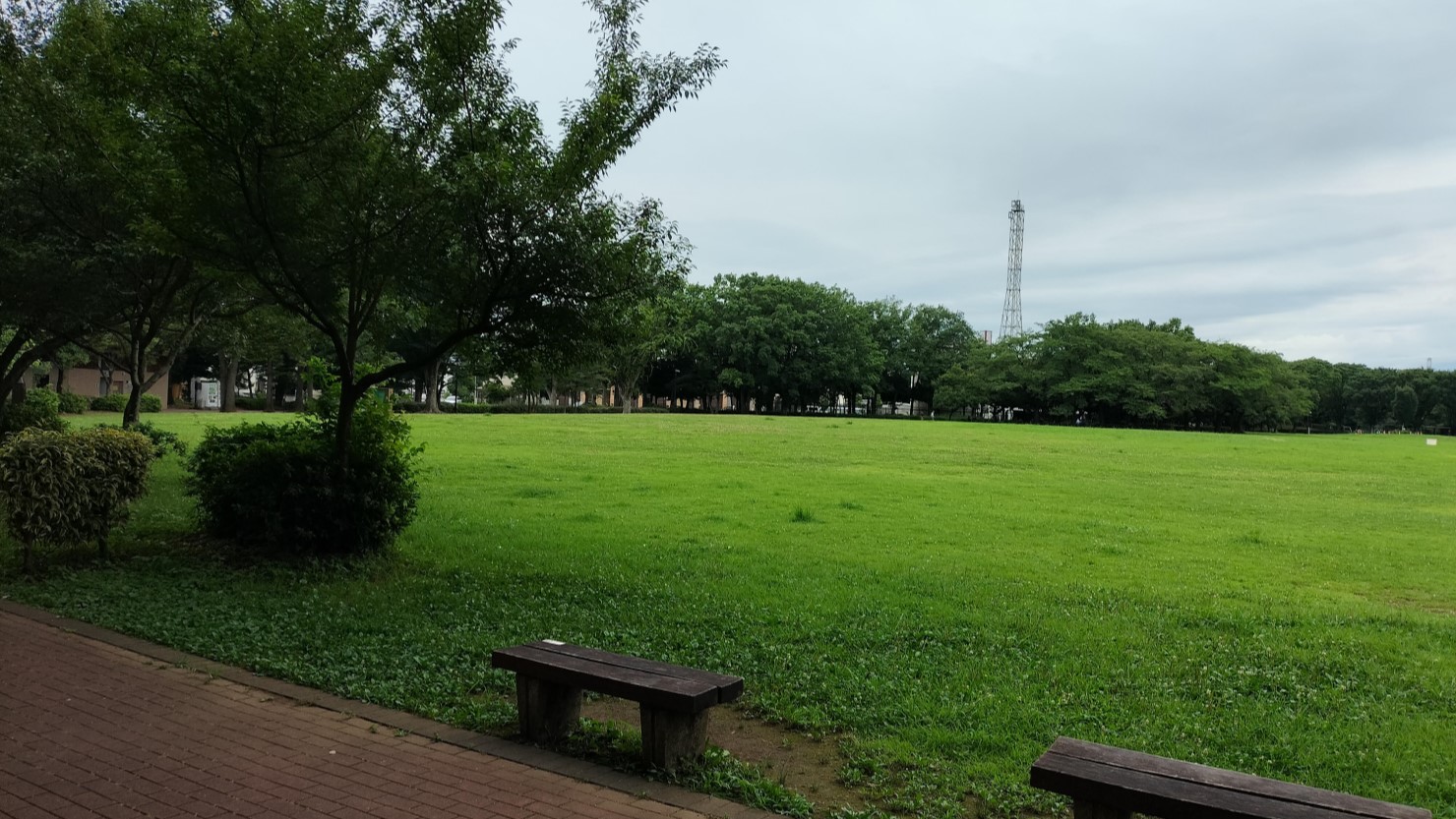 東村山中央公園
