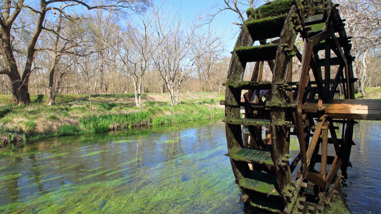 ワサビ生産日本一の安曇野市