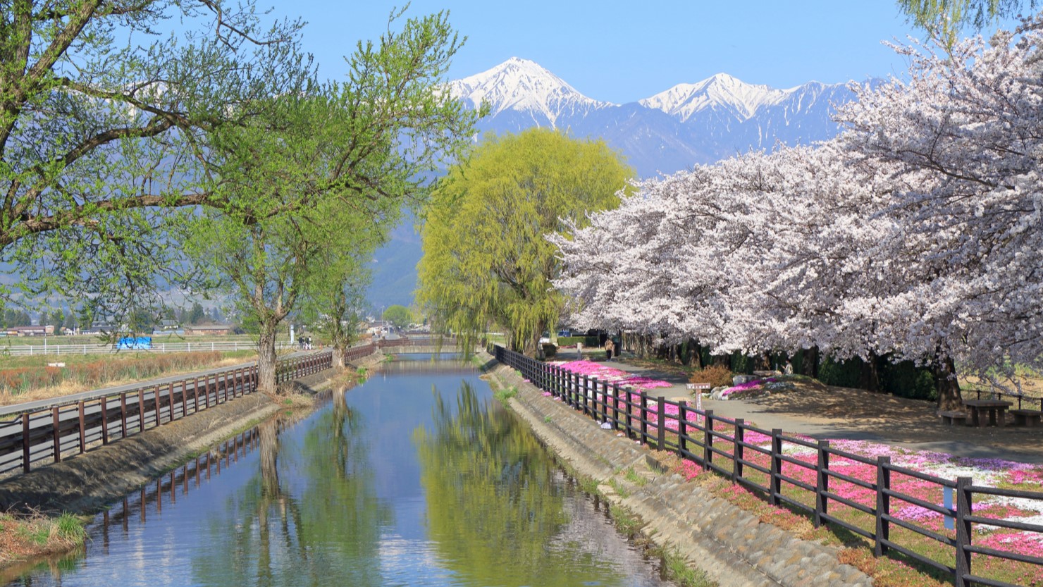 北アルプスをバックに自然が映える街