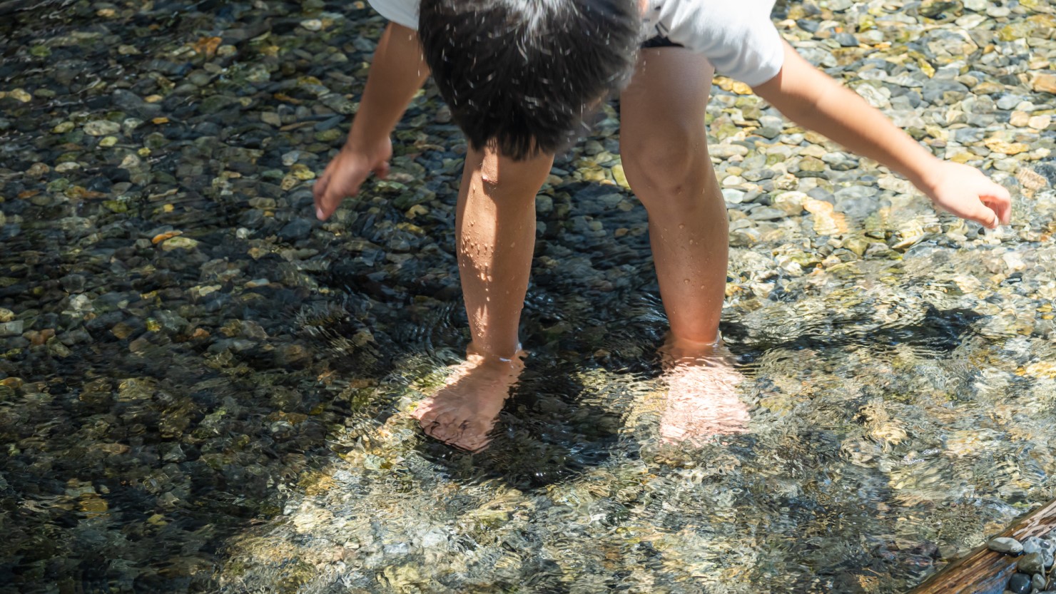 子どもがのびのびと成長できる環境