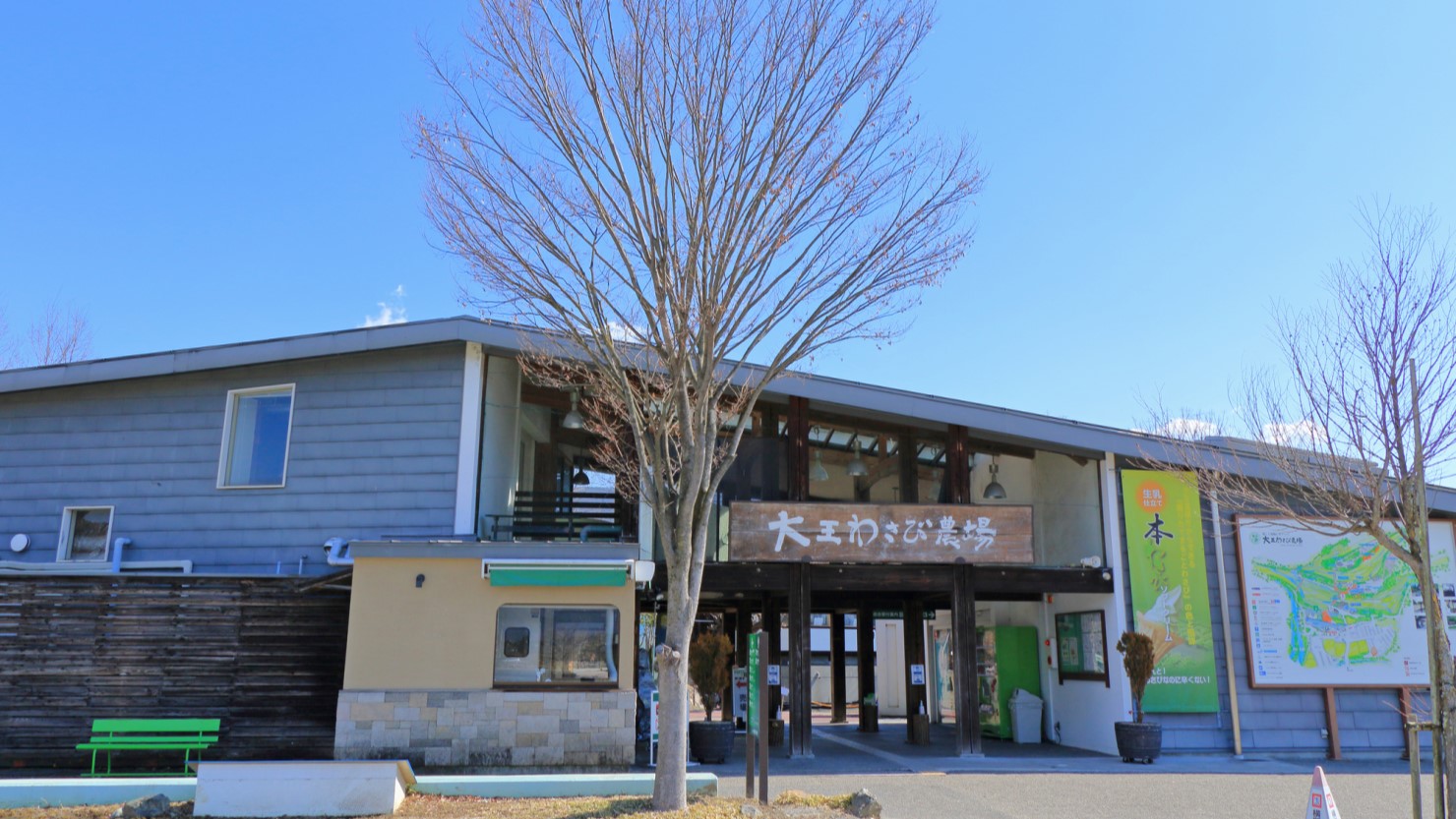 わさび料理や水遊びを楽しめる大王わさび農場