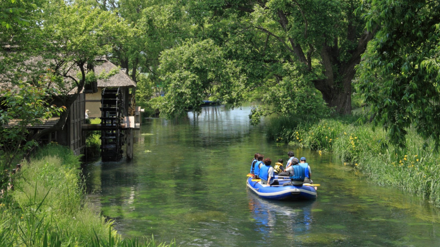 冷たくてきれいな川で水遊びも可能