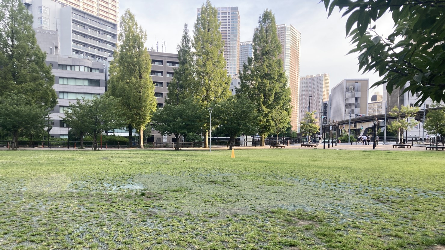 芝浦公園の芝生広場