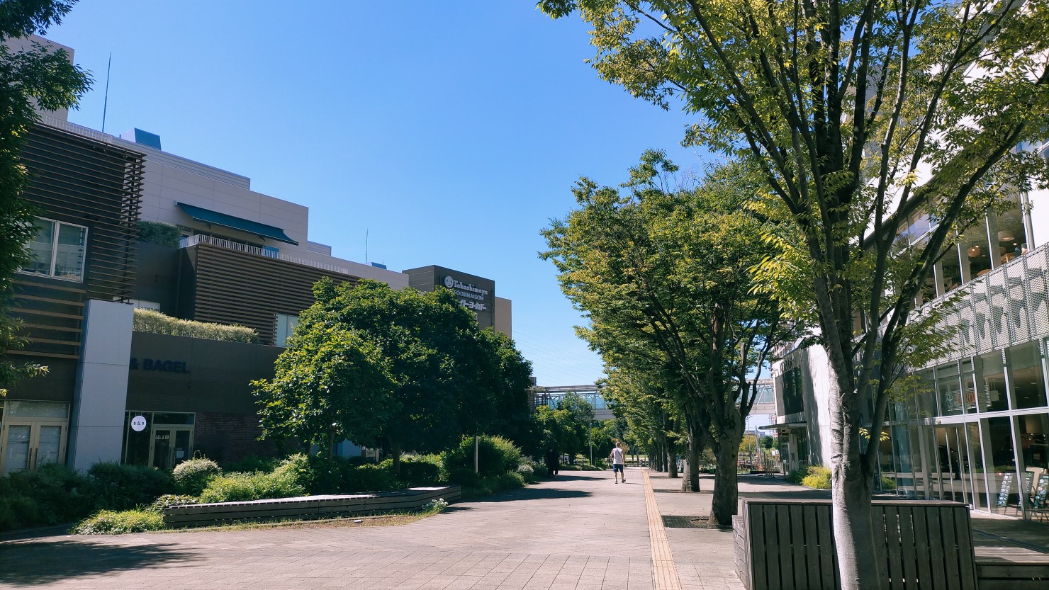 森のまち広場から見える歩道