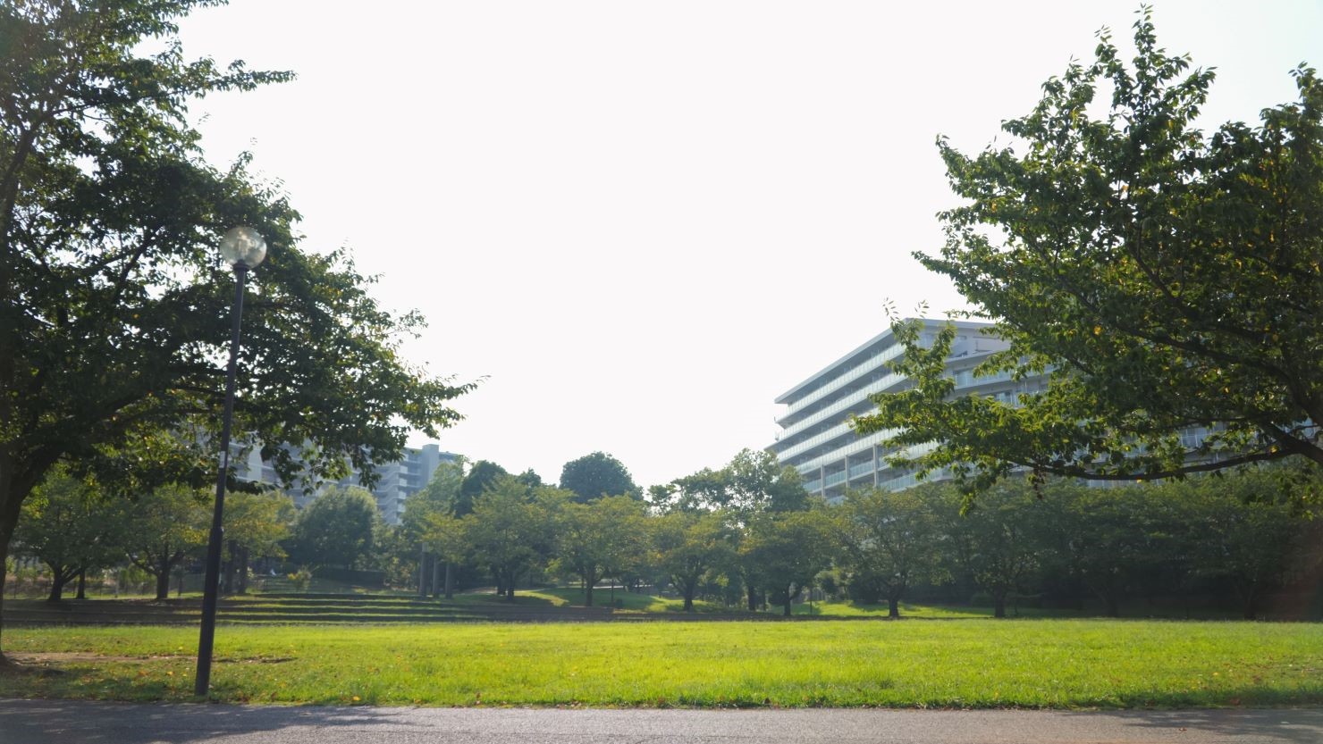 稲城中央公園の芝生エリア