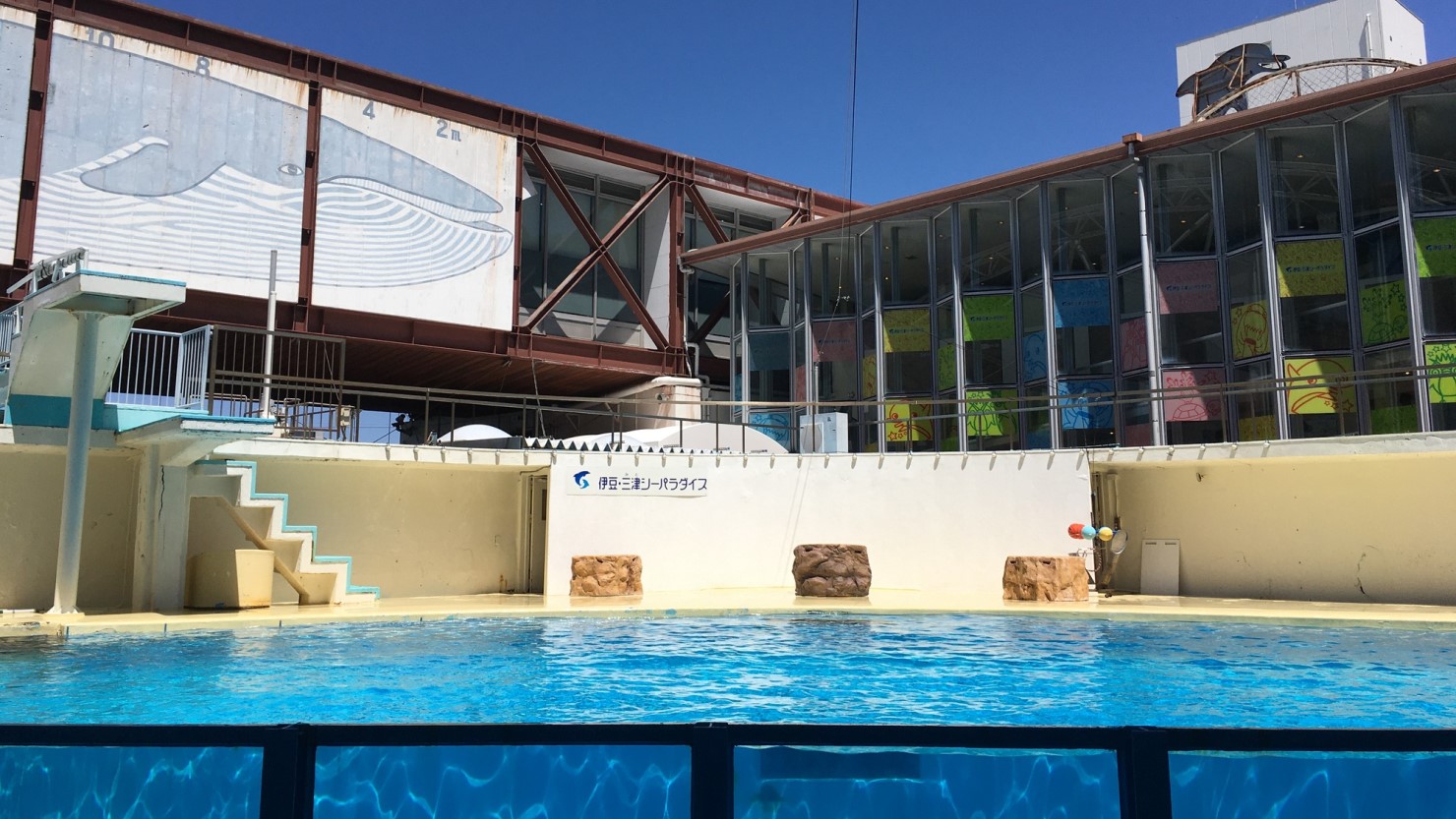 イルカとのふれあいが人気の海のテーマパーク