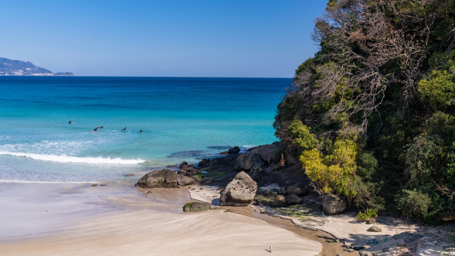 沖縄の海同等の水質が自慢の下田市