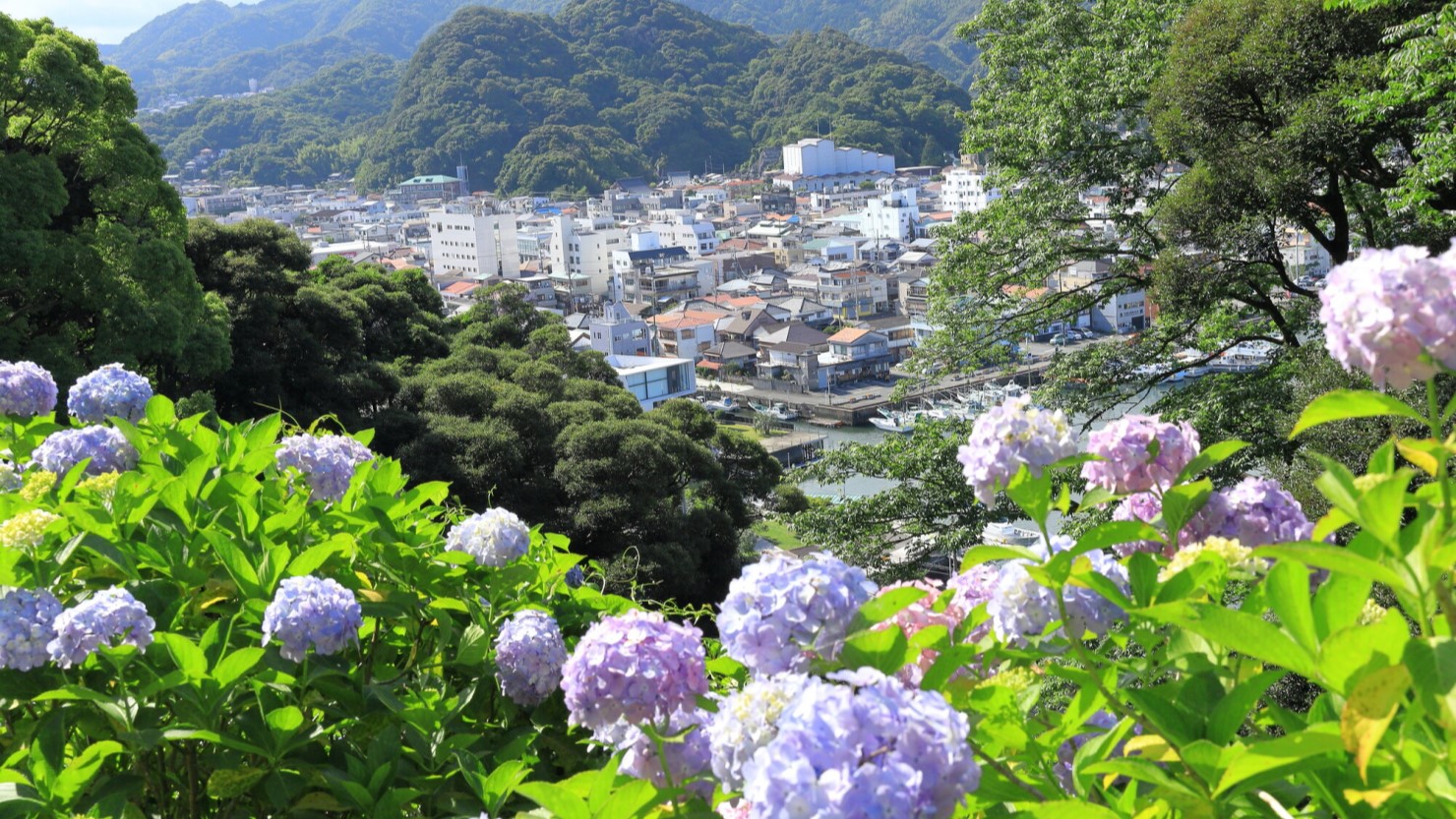 300万輪のあじさいが咲き誇る公園
