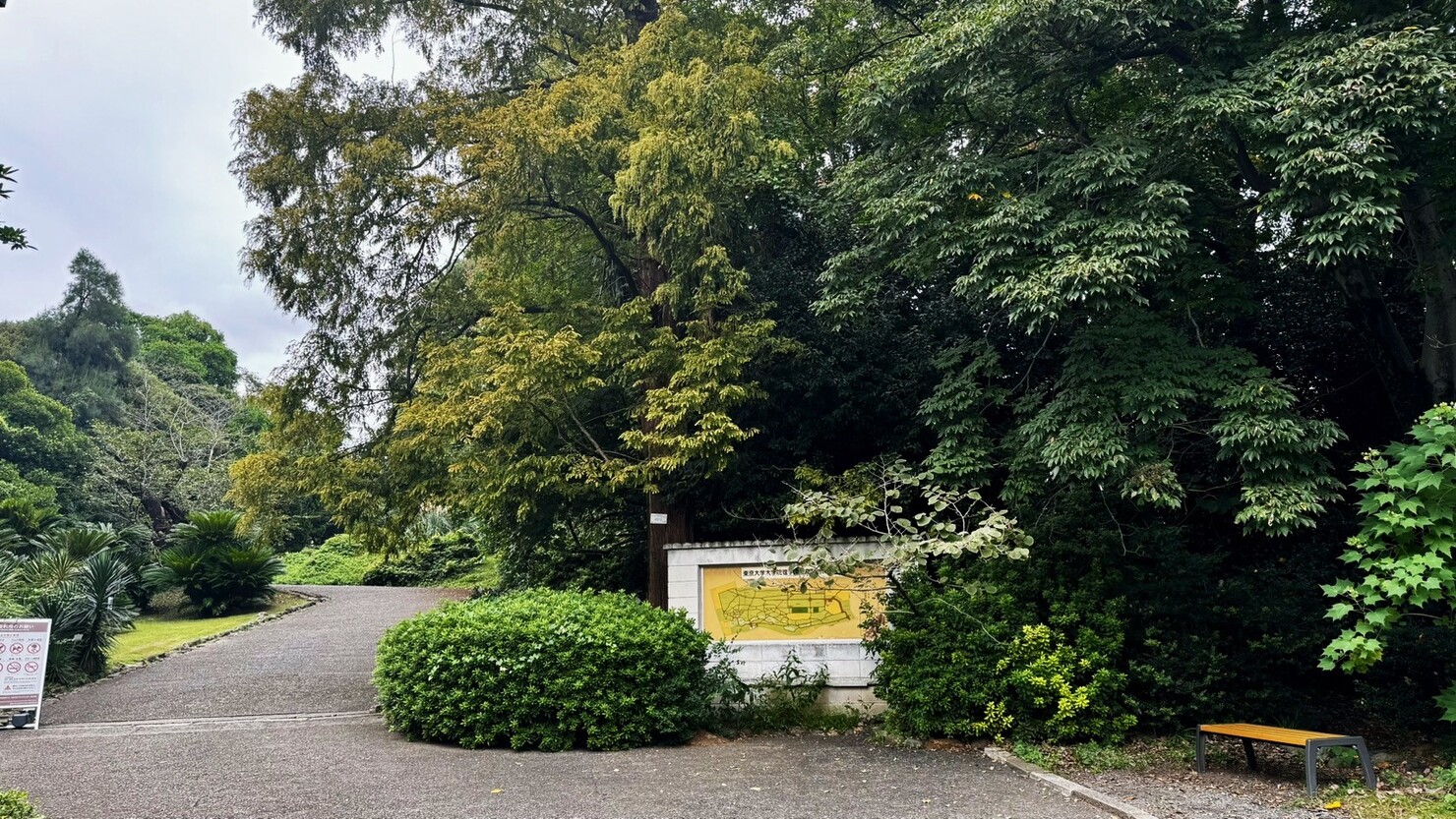 小石川植物園　© 三日月