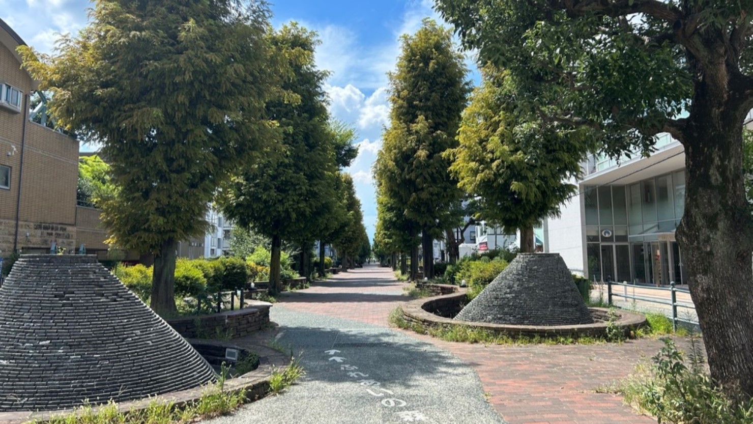 西側プロムナードの木陰道