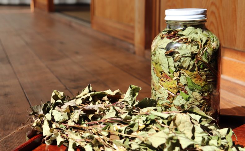 古民家で暮らす私が実際に行っている虫対策とその効果！虫事情のリアルを細かく紹介