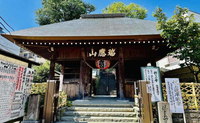 「弘明寺駅」周辺を散歩しよう！横浜最古のお寺と桜の街をめぐる散歩・ウォーキングスポット