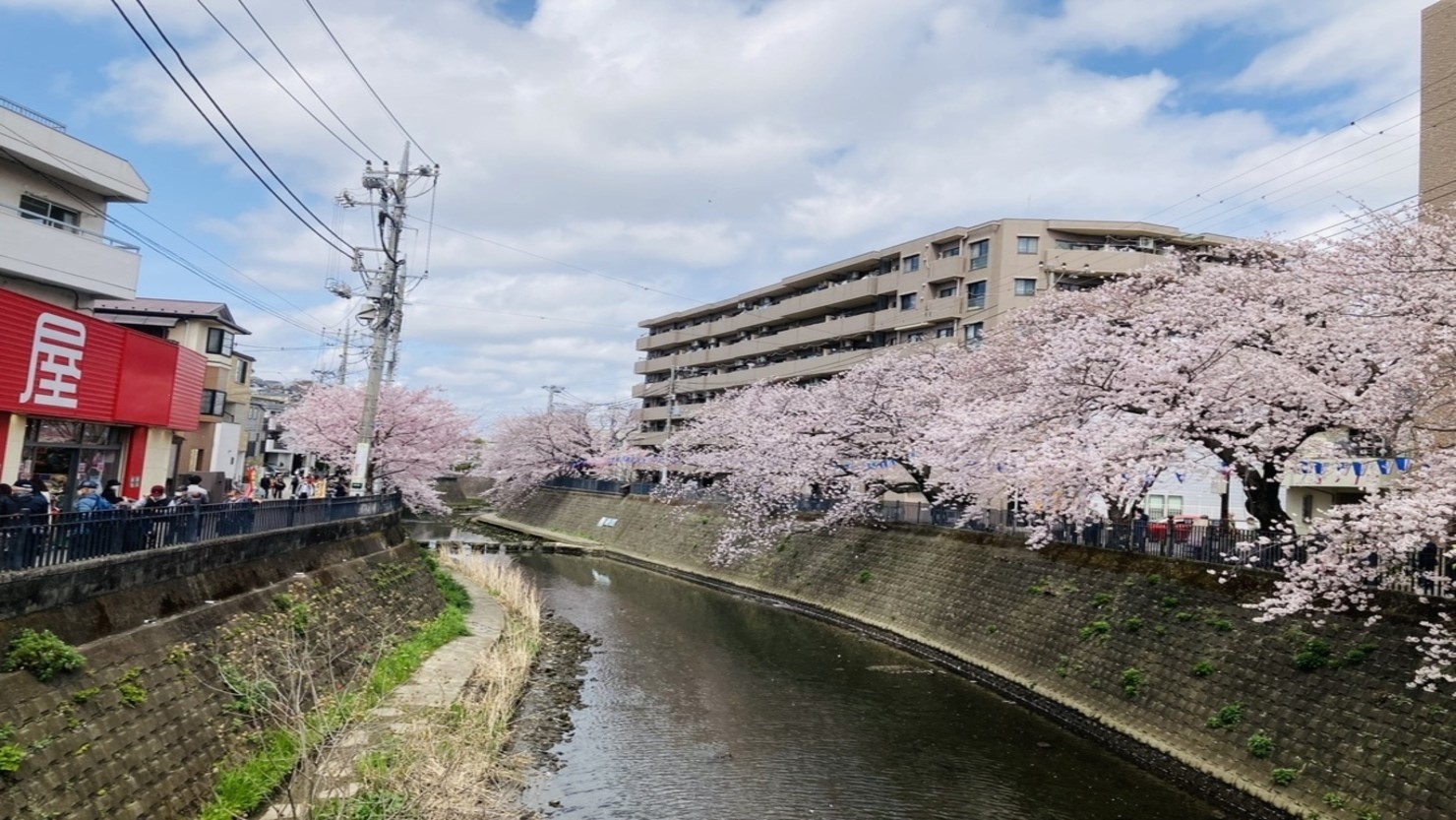 大岡川プロムナード