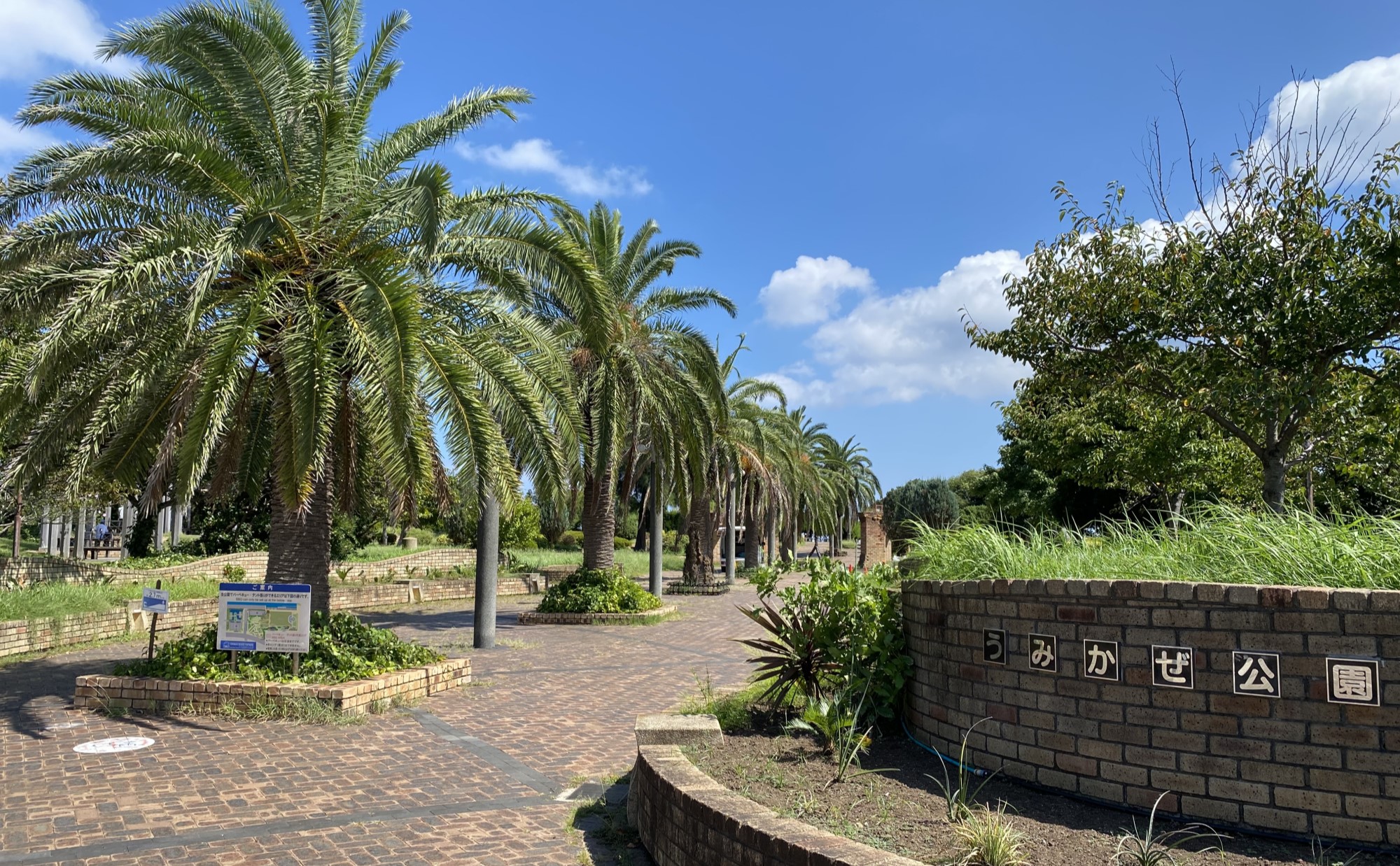 海と山に囲まれた神奈川県「横須賀」でのびのび子育て体験談。子育て支援情報や子育てにおすすめのエリアを紹介