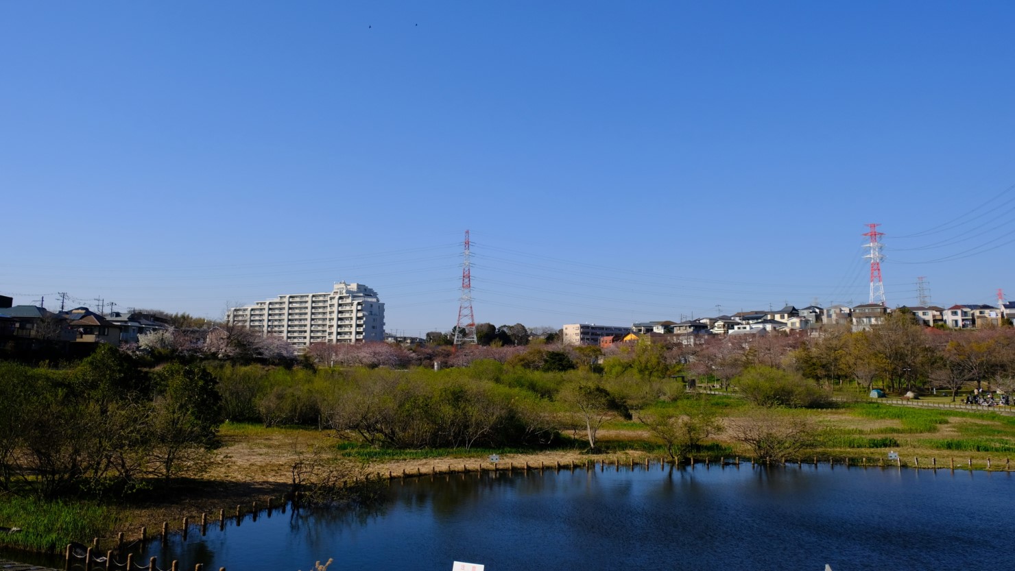 船橋市長津川親水公園