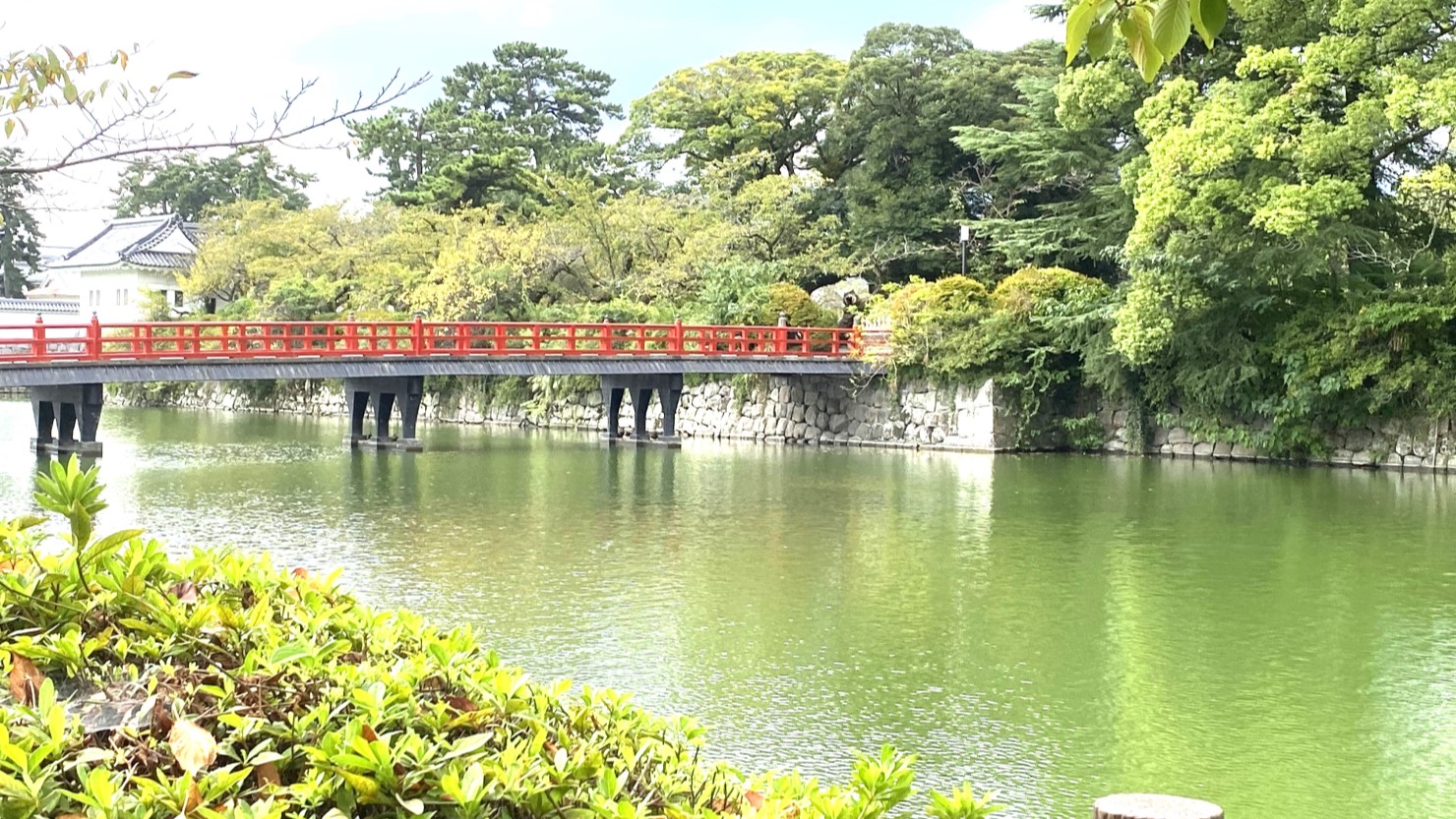 小田原城のお堀