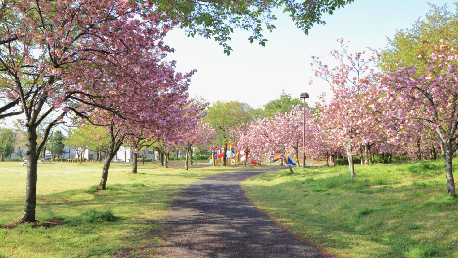 小山市 美しが丘公園