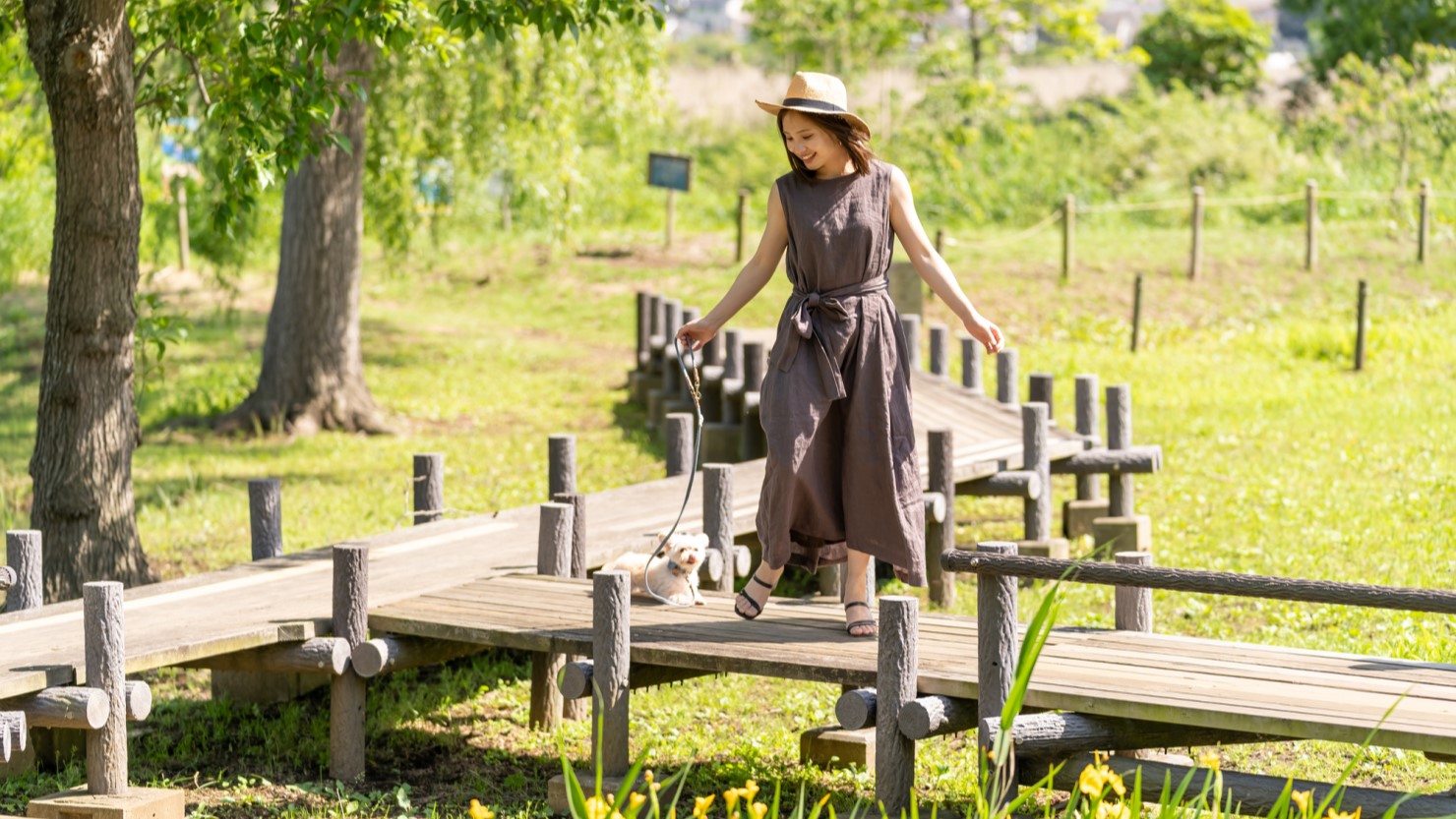 北柏ふるさと公園