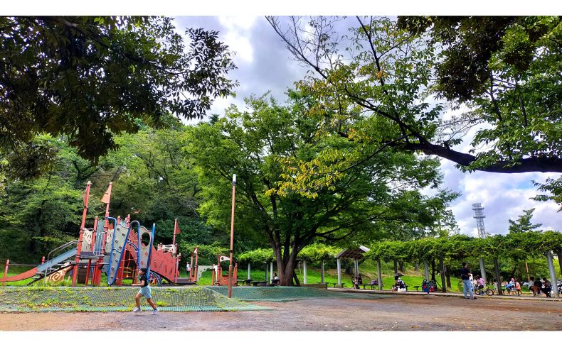 神奈川県「梶が谷駅」周辺は自然と便利さが共存するエリア！住民が住みやすさや魅力を紹介します
