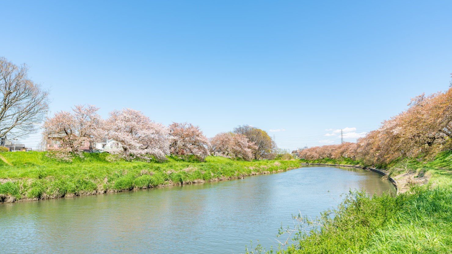 北越谷元荒川堤