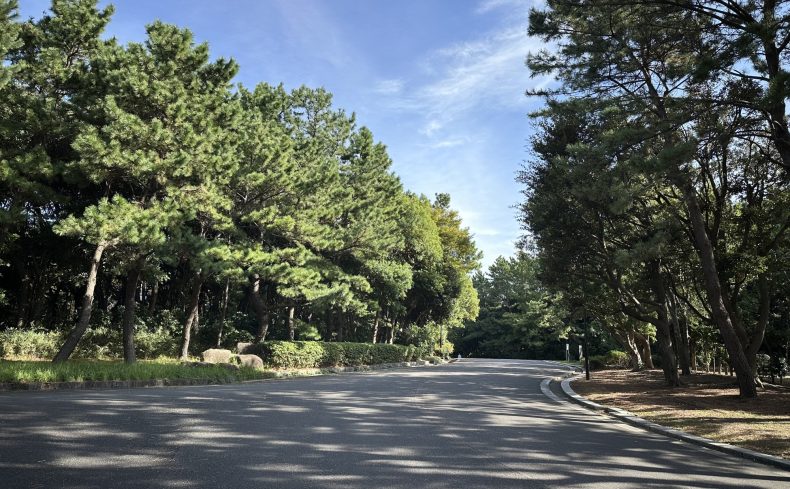 葛西臨海公園でランニングを楽しもう！おすすめコースや魅力をママランナーが紹介