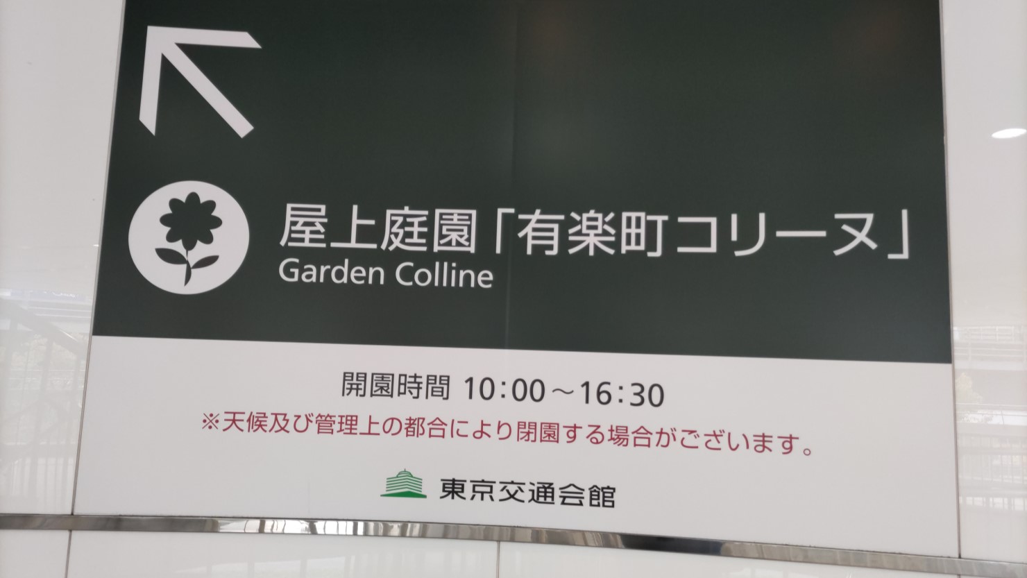東京交通会館の屋上へ