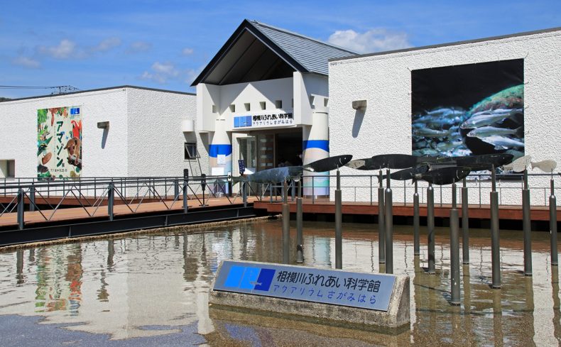 「相模原駅」周辺を散歩しよう！地元民おすすめの散歩・ウォーキングスポット６選
